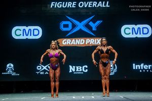 FIGURE OVERALL